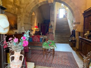 château 9 Pièces en vente sur LAVAUR (81500)