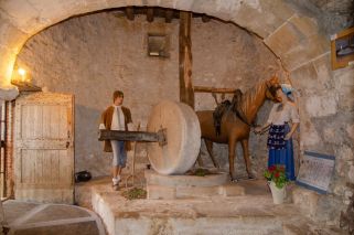 château 9 Pièces en vente sur LAVAUR (81500)