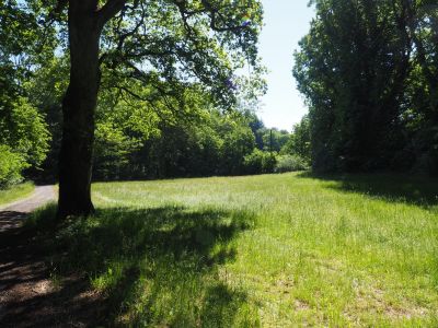 Sale Leisure activities land Lacombe 11.83 ha