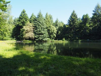 Vente Terrain de loisirs Lacombe 11.83&nbsp;ha