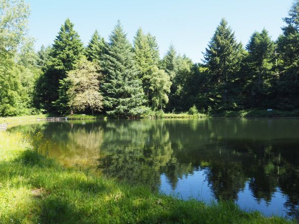 Vente Terrain de loisirs Lacombe 11.83&nbsp;ha
