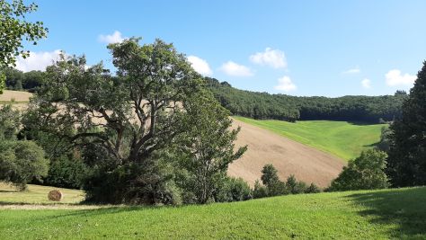 Vente Corps de ferme Moulayrès 6&nbsp;Pièces 226&nbsp;m²