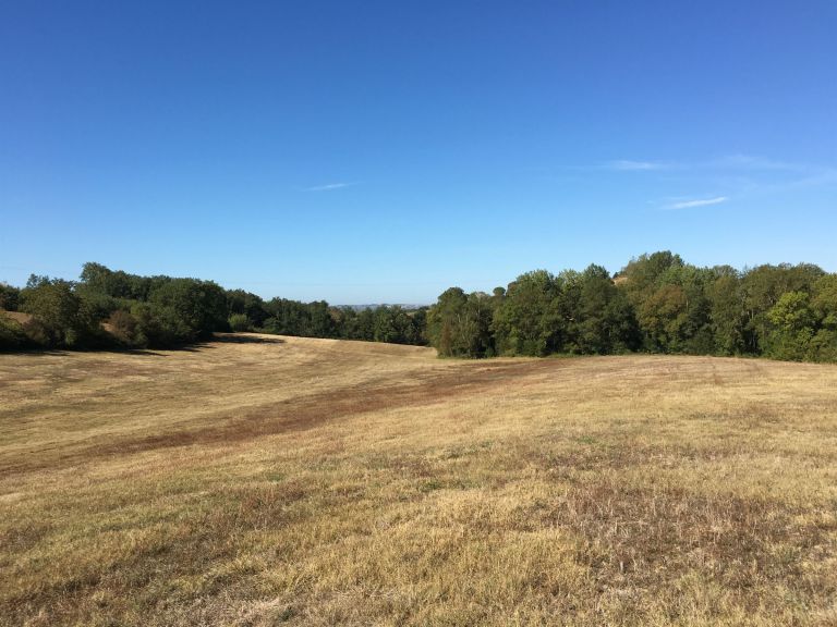 leisure activities land for sale on LAVAUR (81500)