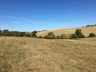 Vente Terrain de loisirs Lavaur 5.14&nbsp;ha