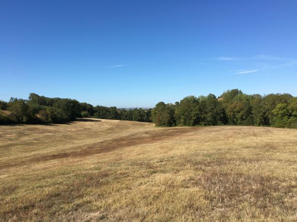 Sale Leisure activities land Lavaur 5.14 ha