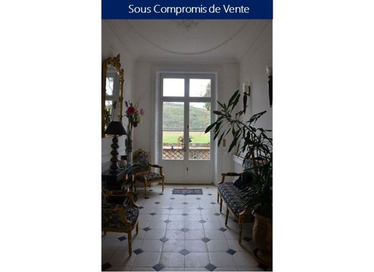 maison de maître 11 Pièces en vente sur BUZET SUR TARN (31660)