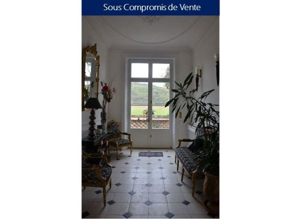 Vente Maison de maître Buzet-sur-Tarn 11 Pièces 380 m²