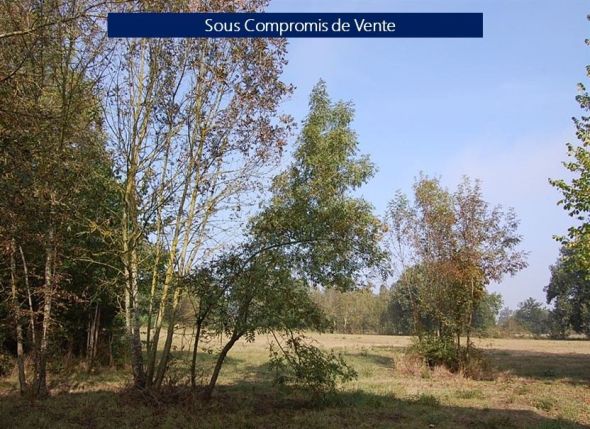 Sale Land Lavaur 1.9 ha