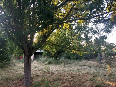 Sale Buildable land Lavaur 817 m²