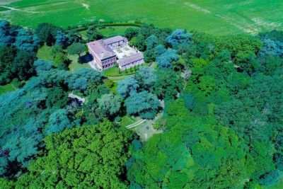 Sale Castle Nailloux 15 Rooms 550 m²