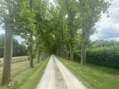 Vente Château Revel 24&nbsp;Pièces 1000&nbsp;m²