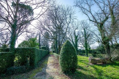 Sale House Albi 14 Rooms 400 m²