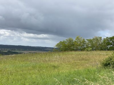 Vente Terrain Giroussens 6027&nbsp;m²