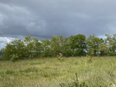 Vente Terrain Giroussens 6027&nbsp;m²