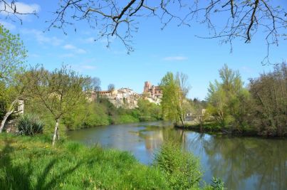 Sale Artist studio Lavaur 3 Rooms 110 m²