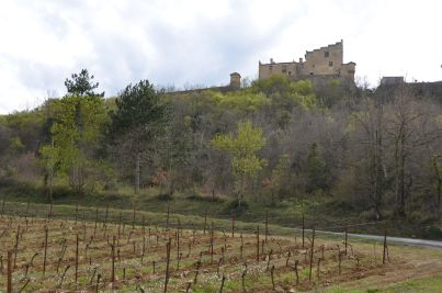 Sale Castle Carcassonne 14 Rooms 520 m²