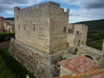 Sale Castle Carcassonne 14&nbsp;Rooms 520&nbsp;m²