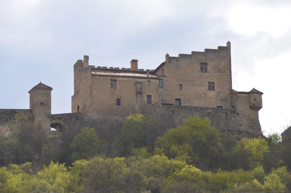 Sale Castle Carcassonne 14 Rooms 520 m²