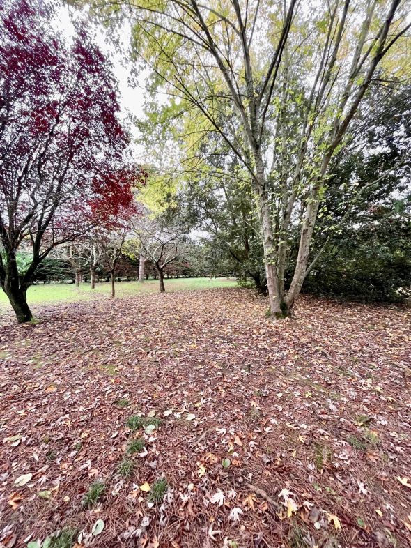 Sale Land Toulouse 603 m²