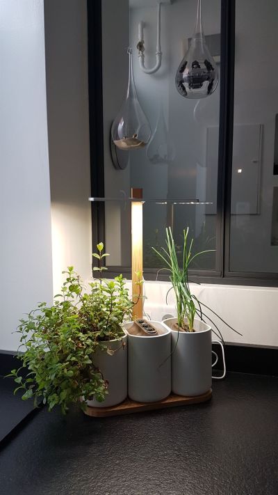 Sale Townhouse Toulouse 6 Rooms 157 m²