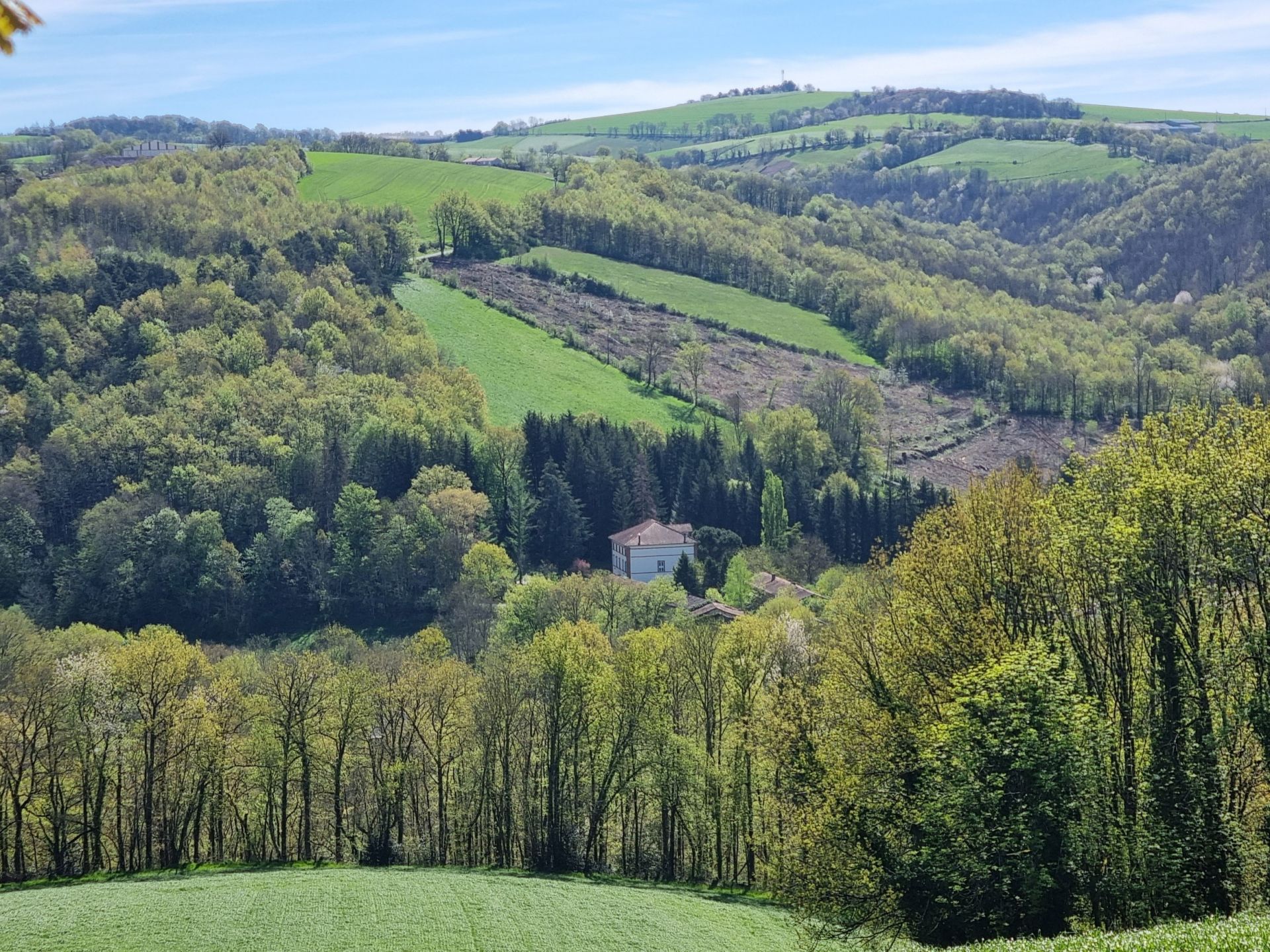 maison 11 Pièces en vente sur ALBI (81000)