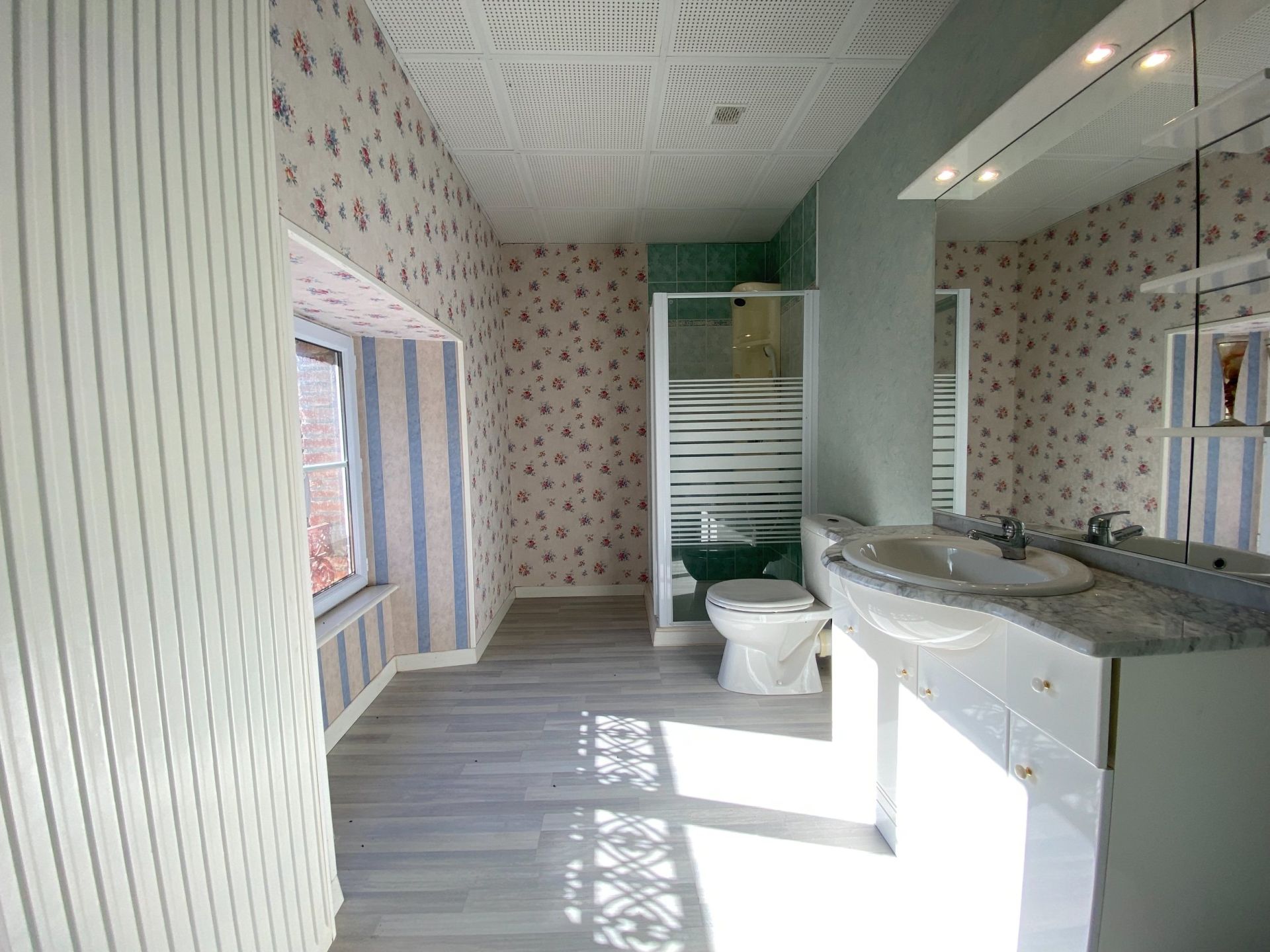 maison 11 Pièces en vente sur ALBI (81000)