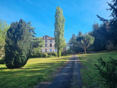 Vente Maison Albi 11&nbsp;Pièces 552&nbsp;m²