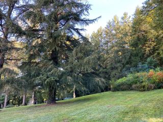 maison 11 Pièces en vente sur ALBI (81000)