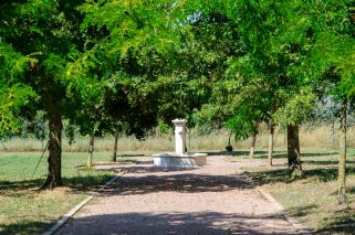 maison 14 Pièces en vente sur DAUX (31700)