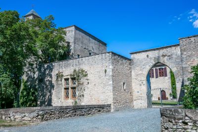 Vente Château Lautrec 17&nbsp;Pièces 715&nbsp;m²