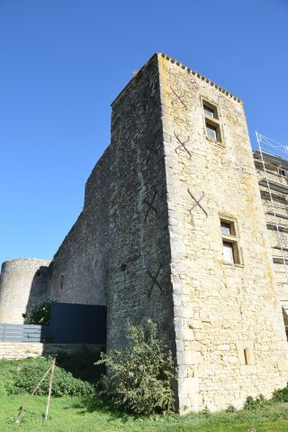 château 10 Pièces en vente sur VILLEFRANCHE DE LAURAGAIS (31290)