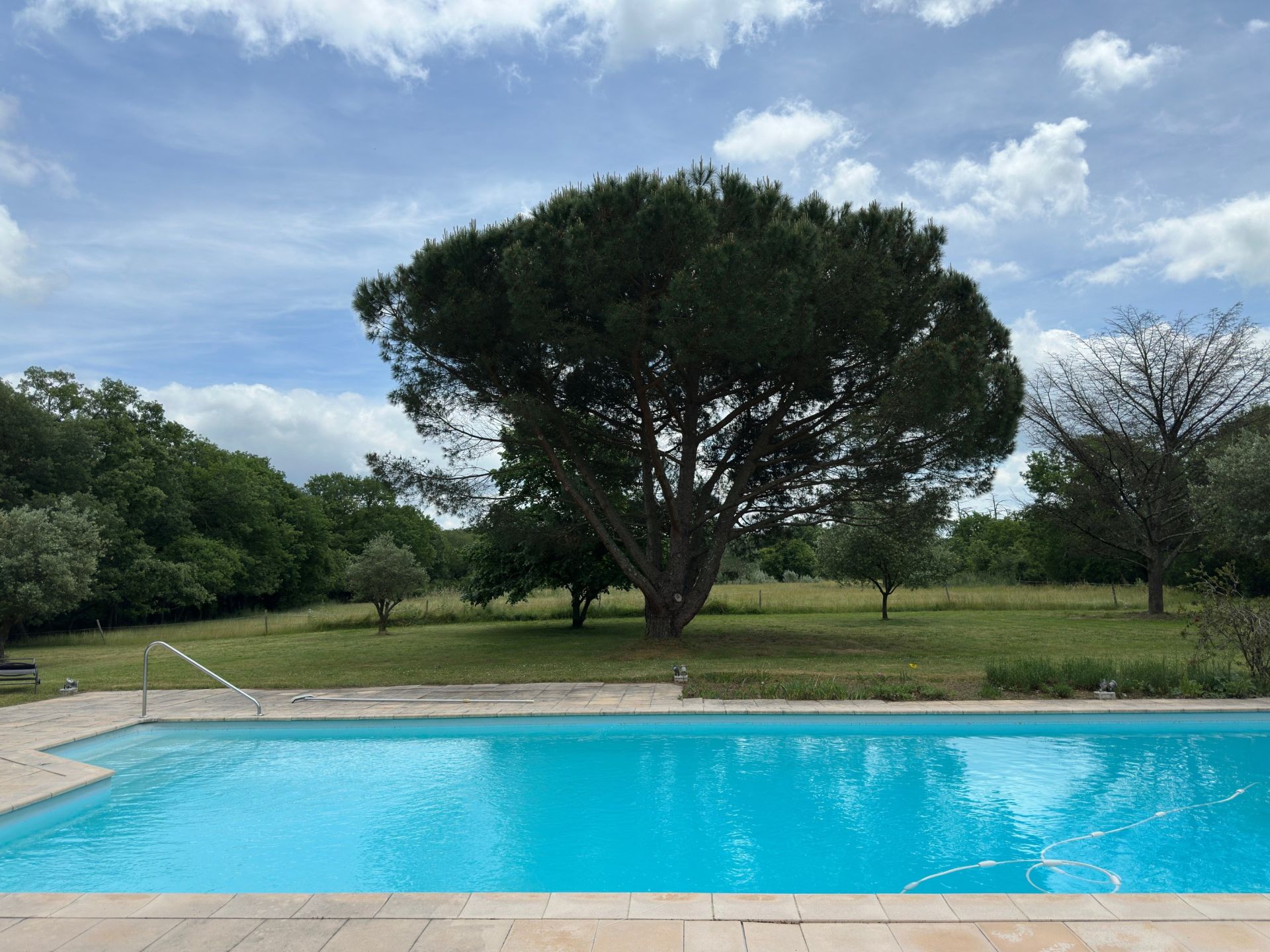 architect's house 10 Rooms for sale on MONDONVILLE (31700)