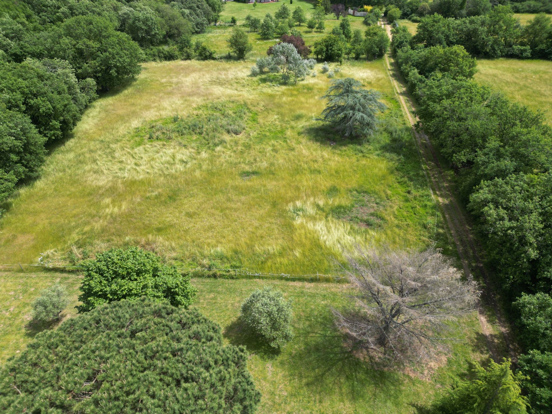 architect's house 10 Rooms for sale on MONDONVILLE (31700)