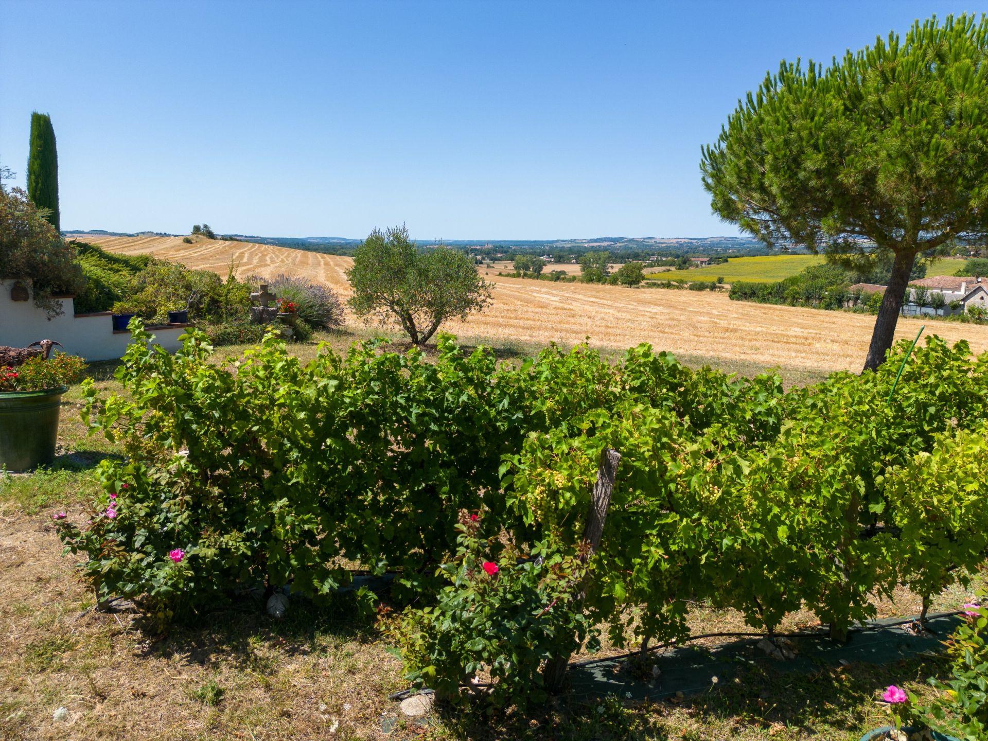 house 7 Rooms for sale on LAVAUR (81500)