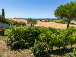 house 7 Rooms for sale on LAVAUR (81500)