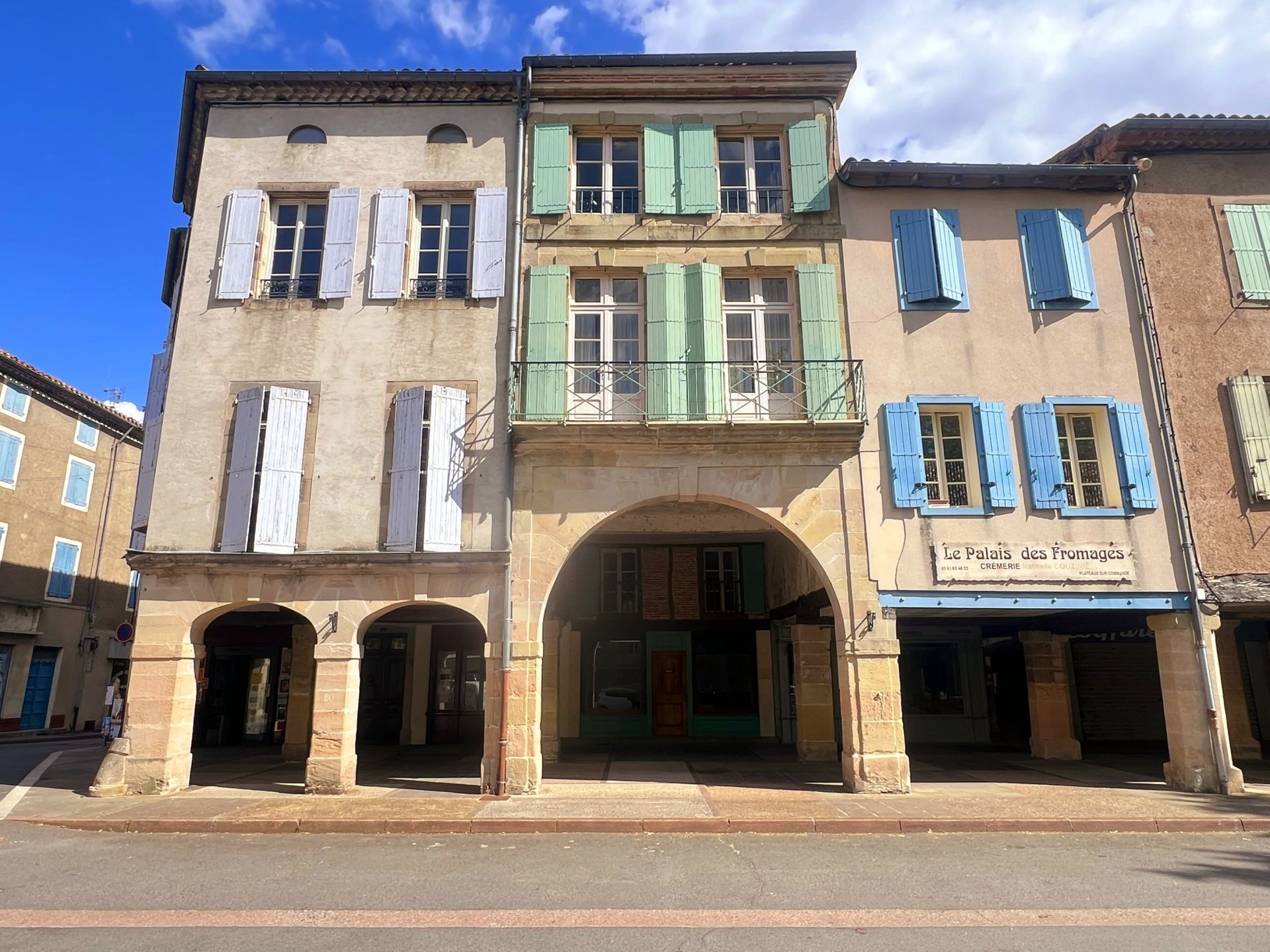 maison 12 Pièces en vente sur REALMONT (81120)