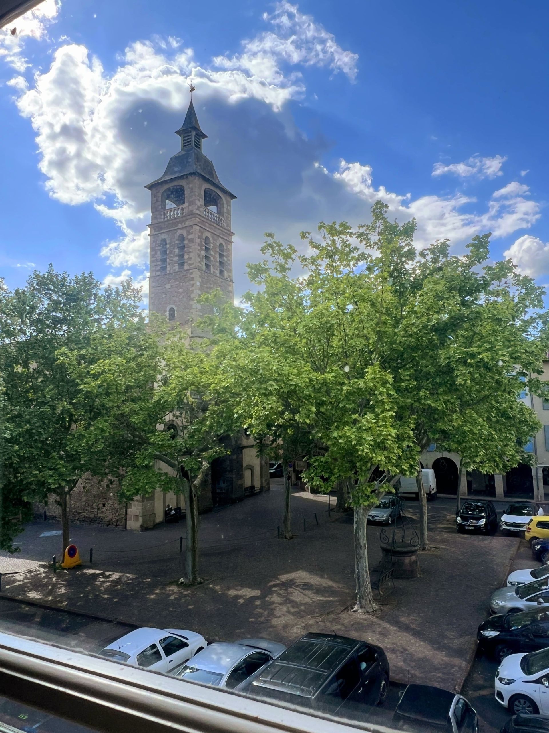 maison 12 Pièces en vente sur REALMONT (81120)