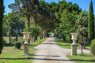 maison 20 Pièces en vente sur TOULOUSE (31000)