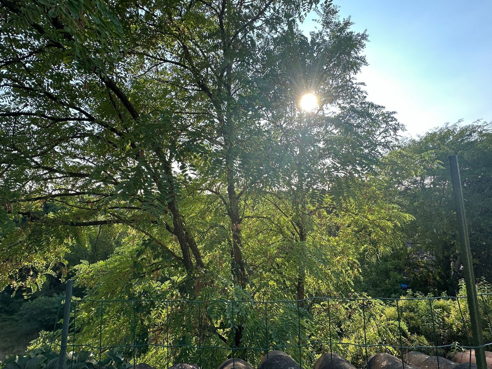 duplex 7 Pièces en location sur LAVAUR (81500)