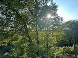 duplex 7 Pièces en location sur LAVAUR (81500)