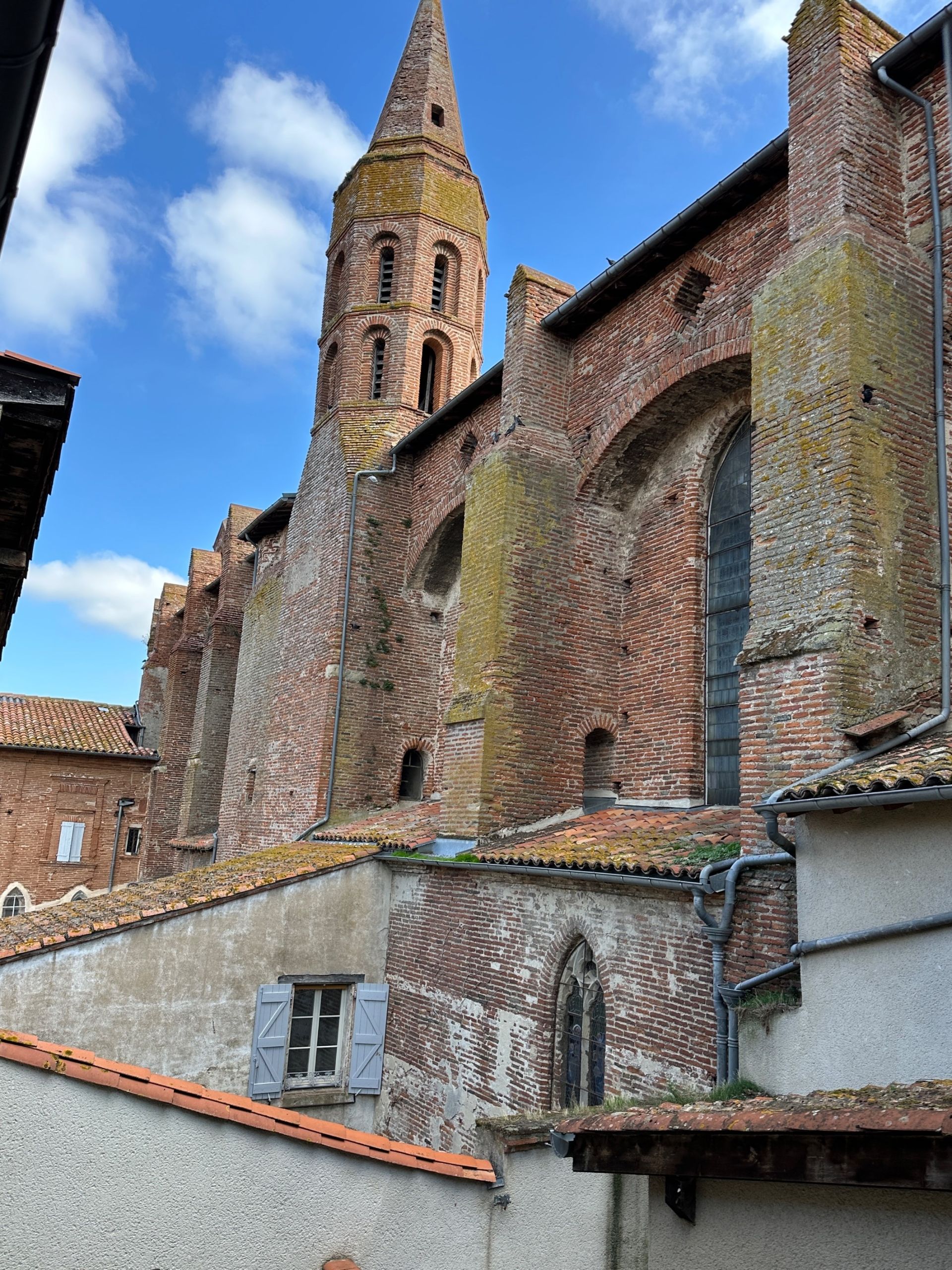 appartement 2 Pièces en location sur LAVAUR (81500)