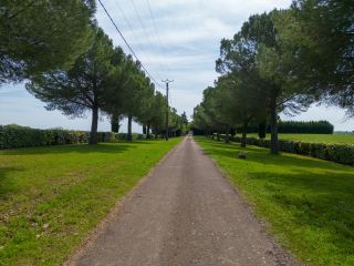 maison 20 Pièces en vente sur VERFEIL (31590)