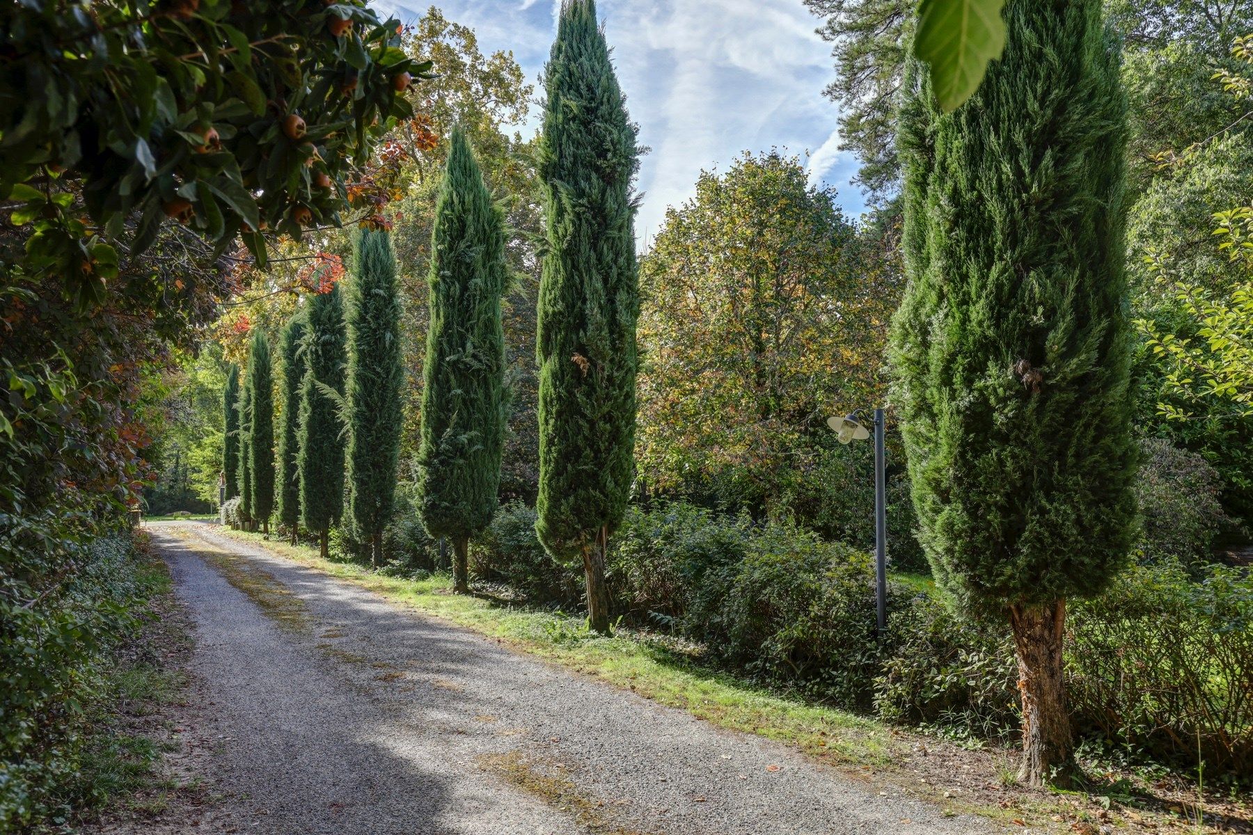 maison 12 Pièces en vente sur LAYRAC SUR TARN (31340)