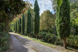 maison 12 Pièces en vente sur LAYRAC SUR TARN (31340)