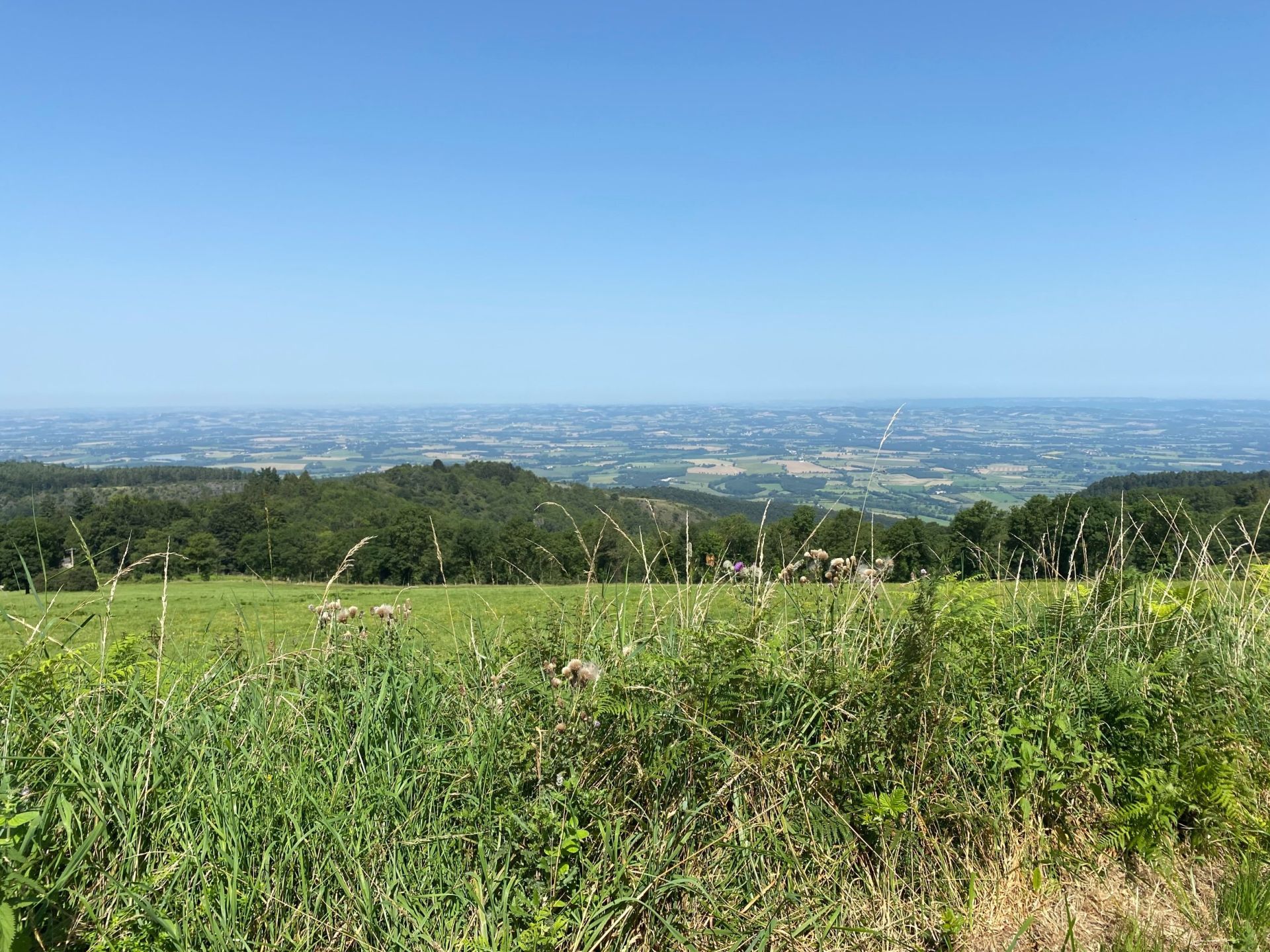 house 8 Rooms for sale on DOURGNE (81110)