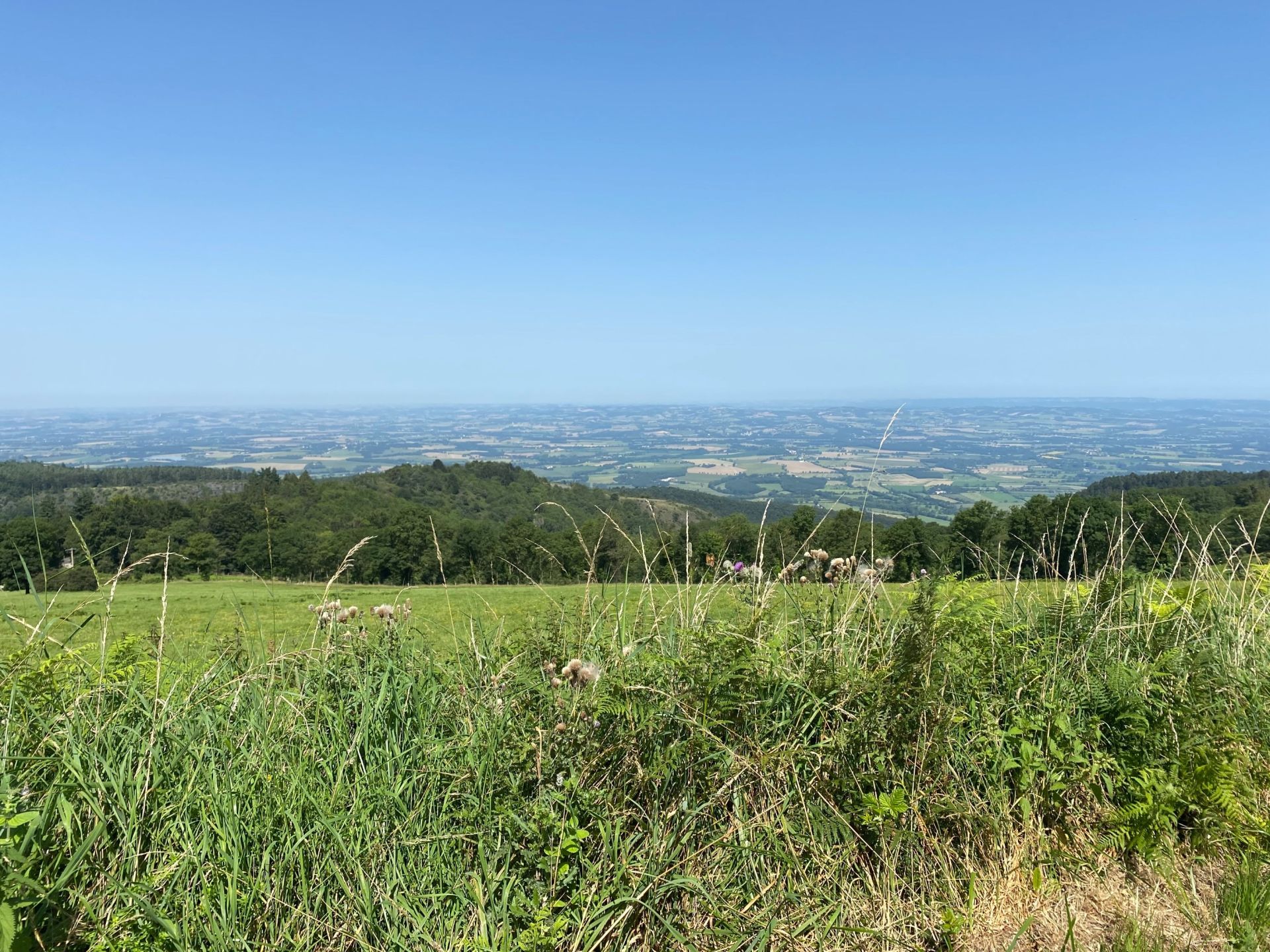 house 8 Rooms for sale on DOURGNE (81110)