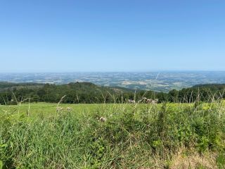 house 8 Rooms for sale on DOURGNE (81110)