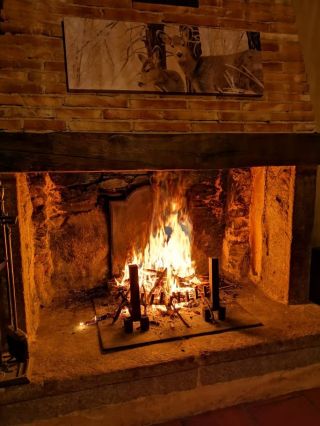 house 8 Rooms for sale on DOURGNE (81110)