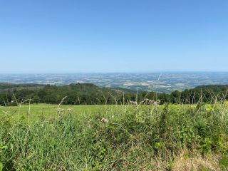 house 8 Rooms for sale on DOURGNE (81110)