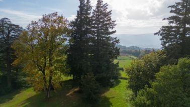 maison de maître 20 Pièces en vente sur MAZAMET (81200)